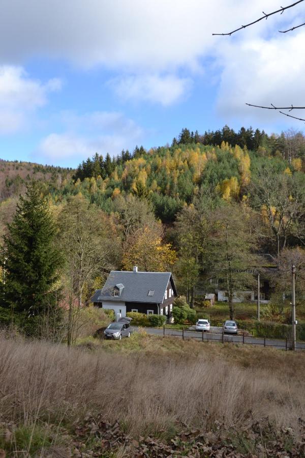 Rozmarýna